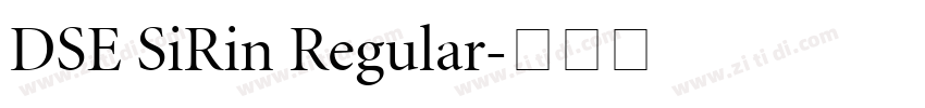 DSE SiRin Regular字体转换